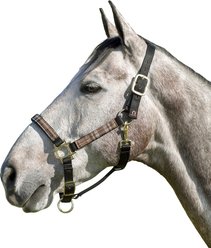 Kensington Protective Products Premium Reflective Nylon Horse Halter, Deluxe Black, Horse