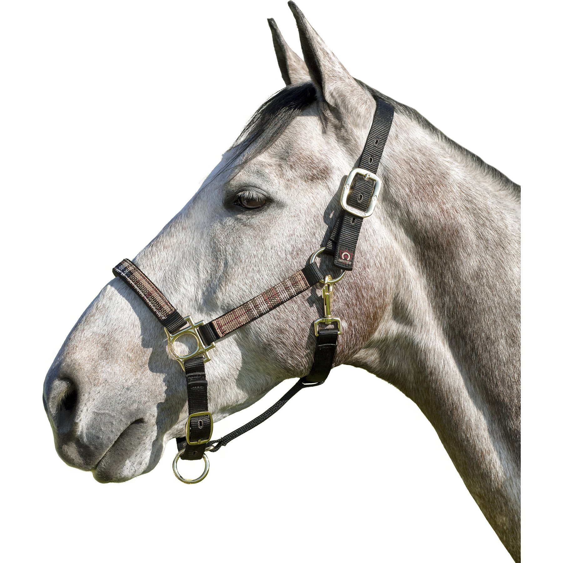 Kensington Protective Products Premium Reflective Nylon Horse Halter, Deluxe Black, Warmblood