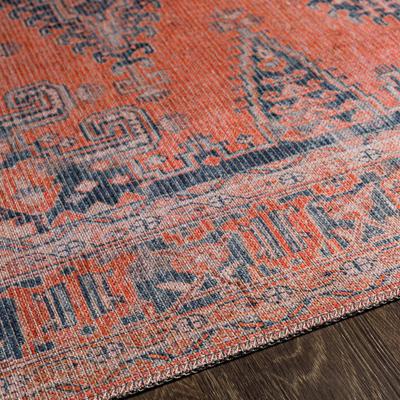 Show full view: Livabliss Colin Machine Washable Dog Area Rug, Burnt Orange/Blue/Pale Blue/Tan, 6.58 x 9-ft slide 6 of 8