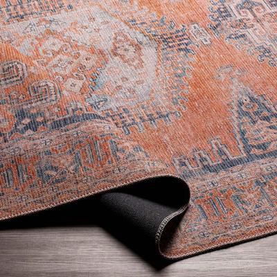 Show full view: Livabliss Colin Machine Washable Dog Area Rug, Burnt Orange/Blue/Pale Blue/Tan, 6.58 x 9-ft slide 3 of 8