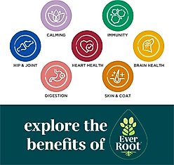 EverRoot By Purina Calming Soft Chews Supplement for Dogs, 10.6-oz canister slide 2 of 9