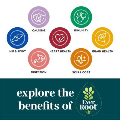 Show full view: EverRoot By Purina Skin & Coat Soft Chews Supplement for Dogs, 10.6-oz canister slide 8 of 12