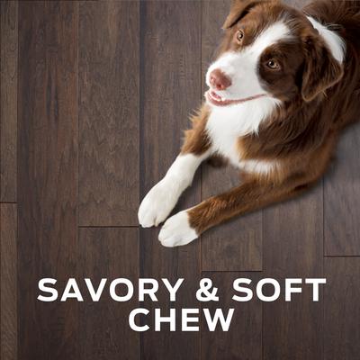 Show full view: Purina Pro Plan Veterinary Diets Digestive Health Bites Soft & Chewy Dog Treats, 16-oz bag slide 9 of 10