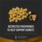 Show in main carousel: Purina Pro Plan Veterinary Diets NF Kidney Function Dry Dog Food, 25-lb bag slide 5 of 13