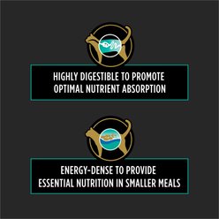 Purina Pro Plan Veterinary Diets EN Gastroenteric Feline Formula Dry Cat Food, 10-lb bag slide 2 of 9