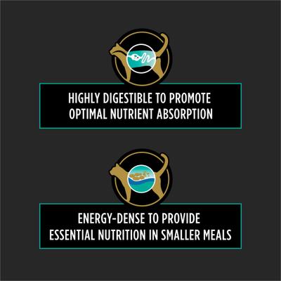 Show full view: Purina Pro Plan Veterinary Diets EN Gastroenteric Feline Formula Dry Cat Food, 16-lb bag slide 5 of 12