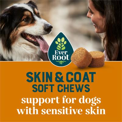 Show full view: EverRoot By Purina Skin & Coat Soft Chews Supplement for Dogs, 10.6-oz canister slide 4 of 12