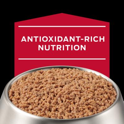 Show full view: Purina Pro Plan Veterinary Diets CC Cardiocare Canine Formula Chicken Flavor Canned Dog Food, 13-oz, case of 12 slide 10 of 11