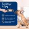 Show in main carousel: Blue Buffalo's Stew Chicken & Beef Variety Pack Wet Dog Food,12.5-oz can, case of 6 slide 8 of 9