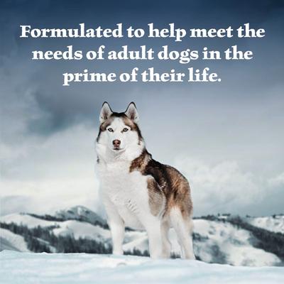 Show full view: Blue Buffalo Wilderness Beef & Salmon Variety Pack Wet Dog Food, 12.5-oz can, case of 6 slide 5 of 10