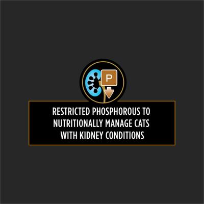 Show full view: Purina Pro Plan Veterinary Diets NF Kidney Function Advanced Care Wet Cat Food, 5.5-oz, case of 24 slide 5 of 12