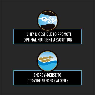 Show full view: Purina Pro Plan Veterinary Diets CN Critical Nutrition Wet Dog & Cat Food, 5.5-oz, case of 24 slide 5 of 12