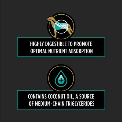 Show full view: Purina Pro Plan Veterinary Diets EN Gastroenteric Naturals Wet Dog Food, 13.4-oz, case of 12 slide 5 of 12