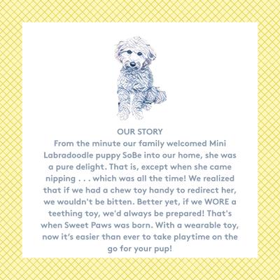 Show full view: Sweet Paws Silicone Chunky Teether Dog Chew Toy, Azure slide 9 of 11