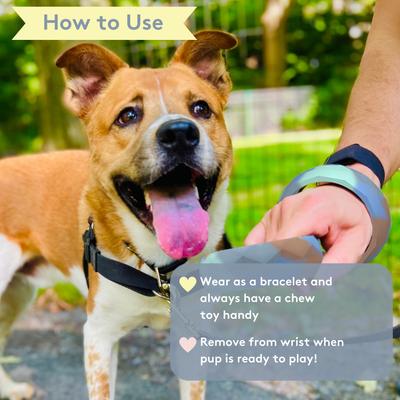 Show full view: Sweet Paws Silicone Chunky Teether Dog Chew Toy, Azure slide 5 of 11