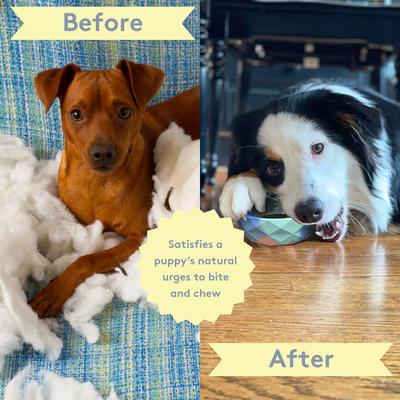 Show full view: Sweet Paws Silicone Chunky Teether Dog Chew Toy, Azure slide 3 of 11