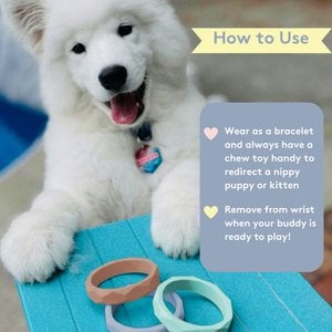 Sweet Paws Silicone Teether Dog Chew Toy, Sea Glass