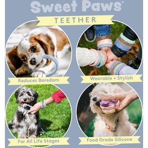 Sweet Paws Silicone Teether Dog Chew Toy, Sea Glass