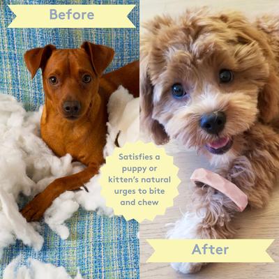 Show full view: Sweet Paws Silicone Teether Dog Chew Toy, Creme Brulee slide 3 of 10