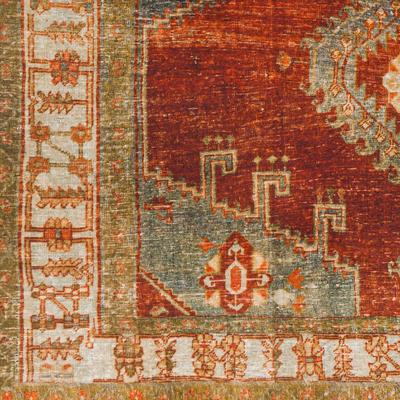 Show full view: Livabliss Lavable Machine Washable Dog Area Rug, Burnt Orange/Orange/Rust/Dark Brown/Dusty Sage/Medium Gray, 5.25 x 7.58-ft slide 7 of 8