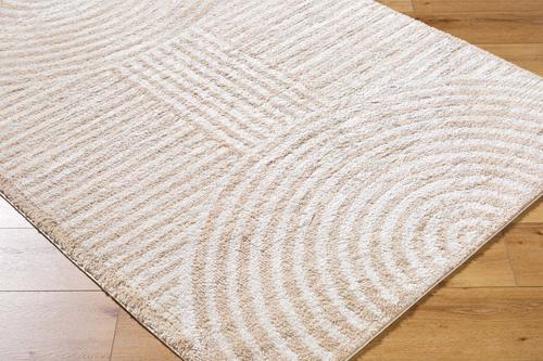 Show full view: Livabliss Fossay Shag Machine Washable Dog Area Rug, Light Beige/Beige, 6.58 x 9-ft slide 6 of 7