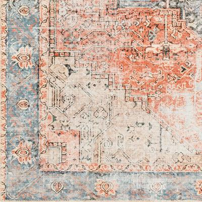 Show full view: Livabliss Amelie Machine Washable Dog Area Rug, Rust/Light Gray/Beige/Black/Tan/Dusty Pink, 5.25 x 7.25-ft slide 7 of 8