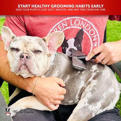 Show full view: Warren London Gentle Touch Dog Slicker Brush slide 6 of 8