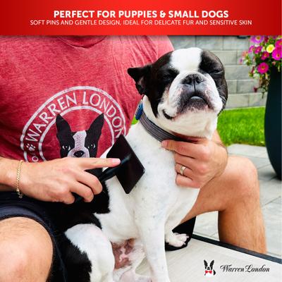 Show full view: Warren London Gentle Touch Dog Slicker Brush slide 5 of 8