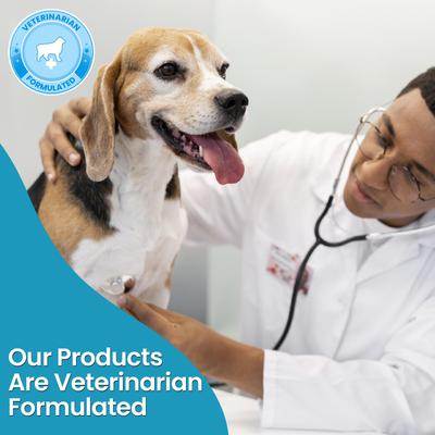 Show full view: Replenish Allergy & Immune Itch Relief Soft Chew Supplement for Dogs, 60 count slide 7 of 8