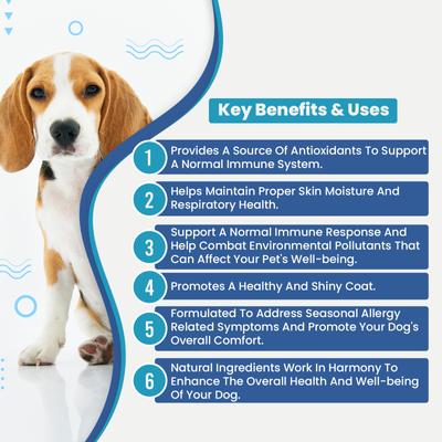 Show full view: Replenish Allergy & Immune Itch Relief Soft Chew Supplement for Dogs, 60 count slide 8 of 8