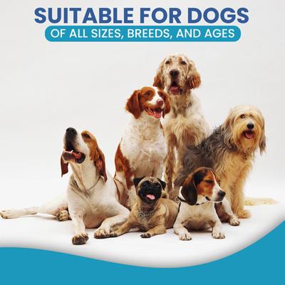 Show full view: Replenish Allergy & Immune Itch Relief Soft Chew Supplement for Dogs, 60 count slide 4 of 8