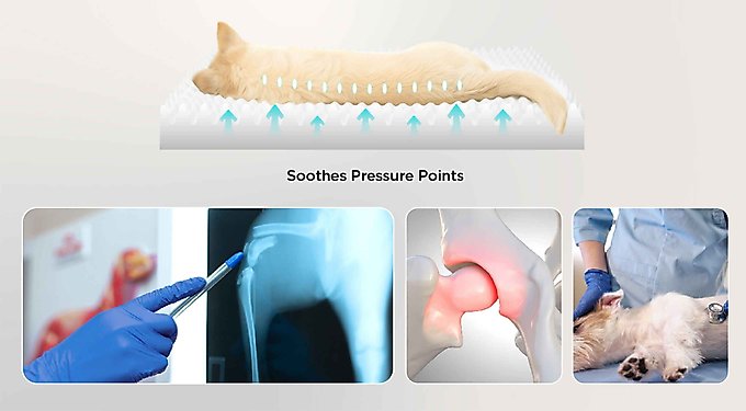 Bedsure Round Orthopedic Bolster Anti-Slip Puppy & Kitten Bed with Washable Pillow Cushion