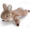 Show in main carousel: Fuzzwoof FluffBunny Squeaky Plush Dog Toy slide 1 of 10