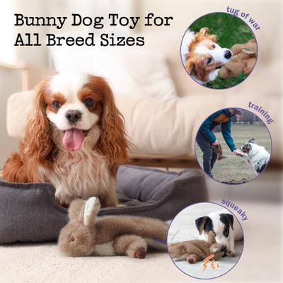 Show full view: Fuzzwoof FluffBunny Squeaky Plush Dog Toy slide 5 of 10