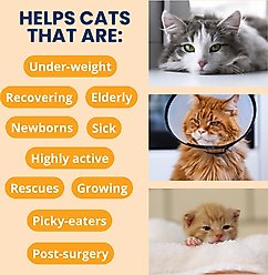 Under the Weather Ready Cal High Calorie Powder Supplement for Cats, 5.29-oz jar slide 2 of 6