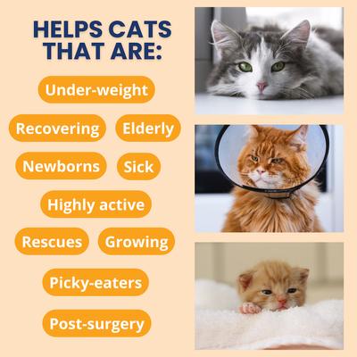 Show full view: Under the Weather Ready Cal High Calorie Powder Supplement for Cats, 5.29-oz jar slide 3 of 7