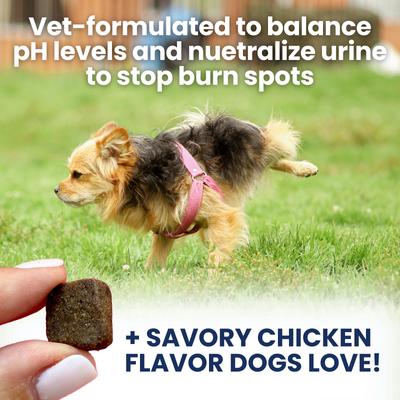 Show full view: Under the Weather Nice Grass Urine Neutralizer Soft Chew Supplement for Dogs, 60 count slide 4 of 7