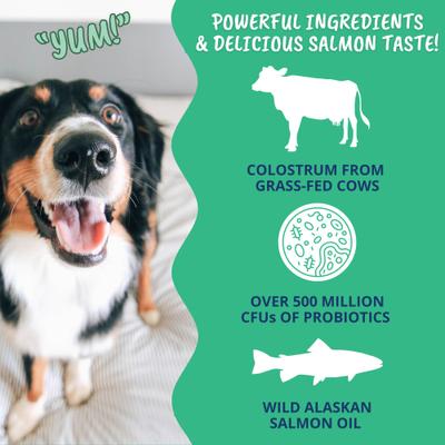 Show full view: Under the Weather Vital Colostrum Squeezable Dogs Supplement Gel for Dogs, 3.5-oz tube slide 4 of 7