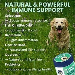 Under the Weather Allergy & Itch Soft Chew Supplement for Dogs, 4.23-oz jar slide 2 of 6