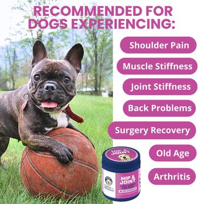 Show full view: Under the Weather Hip & Joint Soft Chew Supplement for Dogs, 4.23-oz jar slide 4 of 8