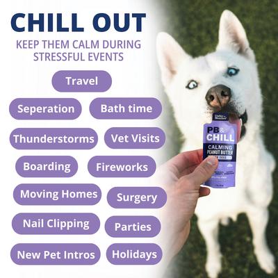 Show full view: Under the Weather PB & Chill Peanut Butter Calming Gel Supplement for Dogs, 1-oz pouch, case of 6 slide 4 of 8