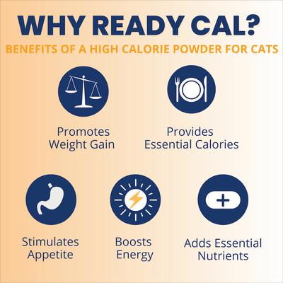 Show full view: Under the Weather Ready Cal High Calorie Powder Supplement for Cats, 5.29-oz jar slide 4 of 7