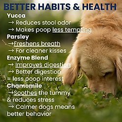 Under the Weather Poop Eating Deterrent Coprophagia Soft Chew Supplement for Dogs, 4.23-oz jar slide 2 of 6