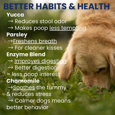Show full view: Under the Weather Poop Eating Deterrent Coprophagia Soft Chew Supplement for Dogs, 4.23-oz jar slide 5 of 7