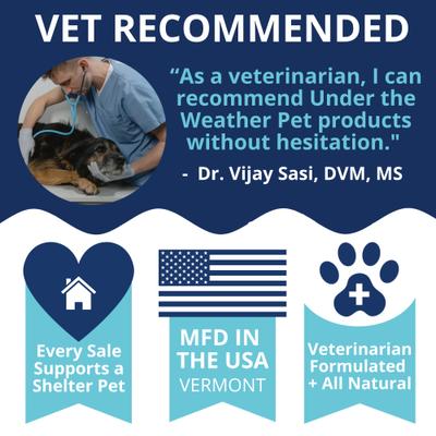 Show full view: Under the Weather Vital Colostrum Squeezable Dogs Supplement Gel for Dogs, 3.5-oz tube slide 7 of 7