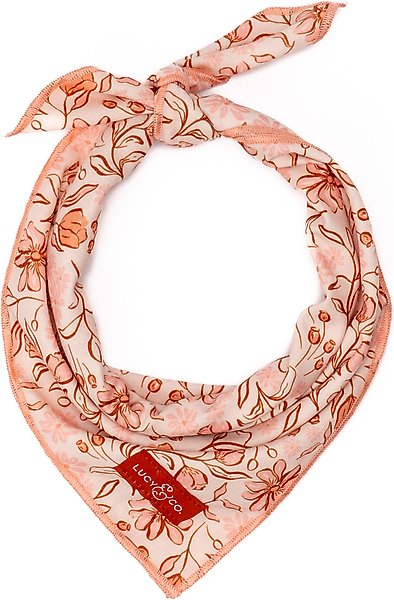 Show full view: Lucy & Co. Woodland Wildflowers Dog Bandana, Small slide 1 of 5