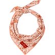 Show in main carousel: Lucy & Co. Woodland Wildflowers Dog Bandana, Small slide 1 of 5