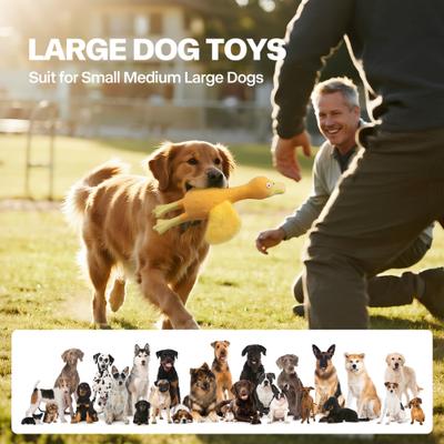 Show full view: allforpaws Zootex Soft Wing Duck Plush Dog Toy slide 5 of 8