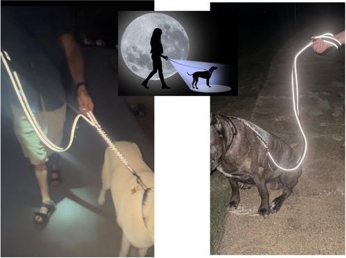 Show full view: IBK Doggies Flashlight Reflective Nylon Bungee Leash Collar Set, Black, X-Small slide 3 of 8