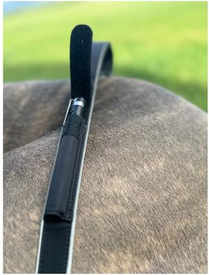 Show full view: IBK Doggies Flashlight Reflective Nylon Bungee Leash Collar Set, Black, X-Small slide 2 of 8